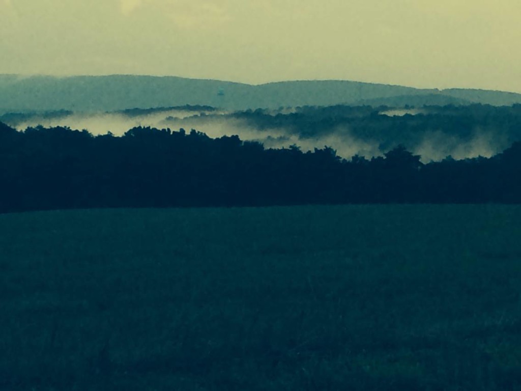 dragons breath
